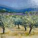 Peinture Les oliviers dans le Lubéron par Daniel | Tableau Figuratif Huile