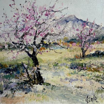 Peinture Provence au printemps par Daniel | Tableau Figuratif Huile