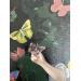 Gemälde Femme papillon von Le Yack | Gemälde Pop-Art Acryl