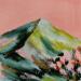 Painting Superbloom, Faugères by Ginestoux Claire | Painting Figurative Landscapes Pastel