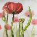 Painting Coquelicot volant by Kuprina Carle Maria | Painting Figurative Still-life Watercolor