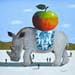 Painting Rhinocéros et pomme by Lionnet Pascal | Painting Surrealist Oil Animals