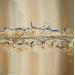 Gemälde Le pont des Arts von Rousseau Patrick | Gemälde Figurativ Urban Öl