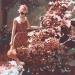 Peinture Parfum d'été par Gemini. H  | Tableau Réalisme Paysages Nature Scènes de vie Huile Acrylique