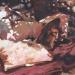Painting La sieste by Gemini. H  | Painting Realism Nature Life style Oil Acrylic