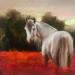 Painting A Journey to the Beautiful by Bond Tetiana | Painting Figurative Animals Oil