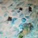 Peinture AIGLE DE MER-LEOPARD par Geiry | Tableau Matiérisme Paysages Nature Animaux Bois Acrylique Résine Pigments Poudre de marbre