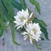 Peinture Deux épiphyllum par Tayun | Tableau Figuratif Nature