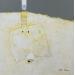 Gemälde Abstract white B48 von Wilms Hilde | Gemälde Abstrakt Minimalistisch Collage