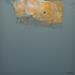 Painting ENTA by Reymann Daniel | Painting Abstract Acrylic Minimalist
