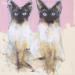 Gemälde Duo de Siamois von Bergues Laurent | Gemälde Figurativ Tiere Aquarell Pappe Acryl