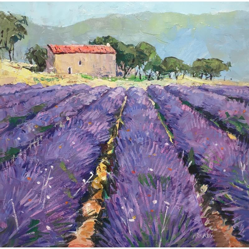 Painting Maison dans le champs de lavande 2 by Arkady | Painting Figurative Oil Landscapes