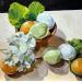 Painting Primerose and eggs by Ulrich Julia | Painting Figurative Oil