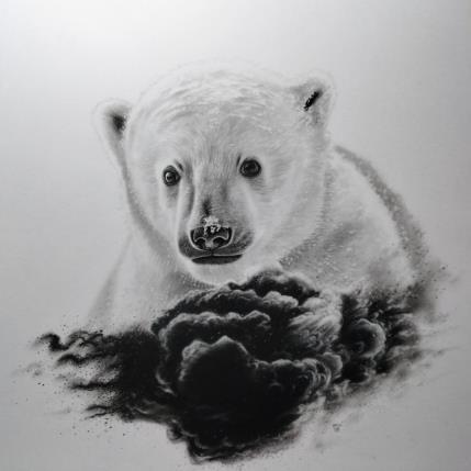 Peinture Ourson polaire II par Benchebra Karim | Tableau Figuratif Fusain Animaux, Nature, Noir & blanc