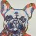 Painting Ma boule d'amour mon frenchy bouldogue by Schroeder Virginie | Painting Pop-art Pop icons Acrylic