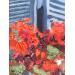 Peinture Windowbox Geraniums par Brooksby | Tableau Figuratif Paysages Architecture Huile