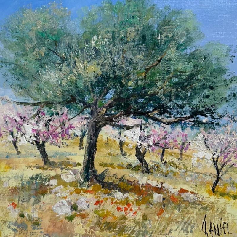 Painting Olivier et pêchers en fleur by Daniel | Painting Impressionism Oil Landscapes