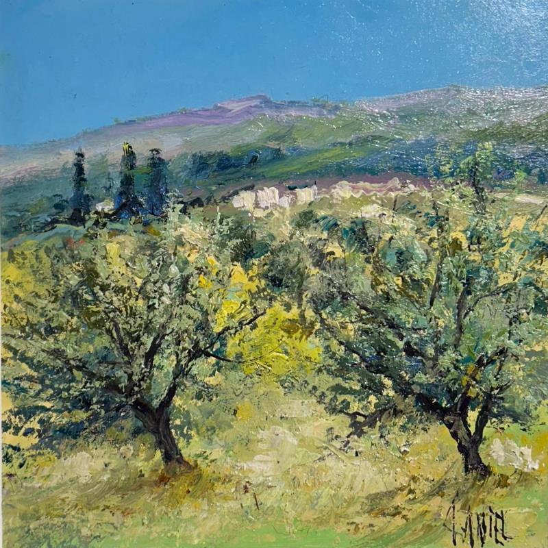 Peinture Les oliviers dans le Lubéron par Daniel | Tableau Impressionnisme Huile Paysages