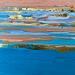 Peinture Love the sea par Dravet Brigitte | Tableau Abstrait Marine Acrylique