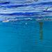 Peinture Symphonie en bleu par Dravet Brigitte | Tableau Abstrait Marine Acrylique