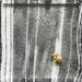Painting Sans titre by Ziyat Yasmina | Painting Abstract Mixed Minimalist Black & White