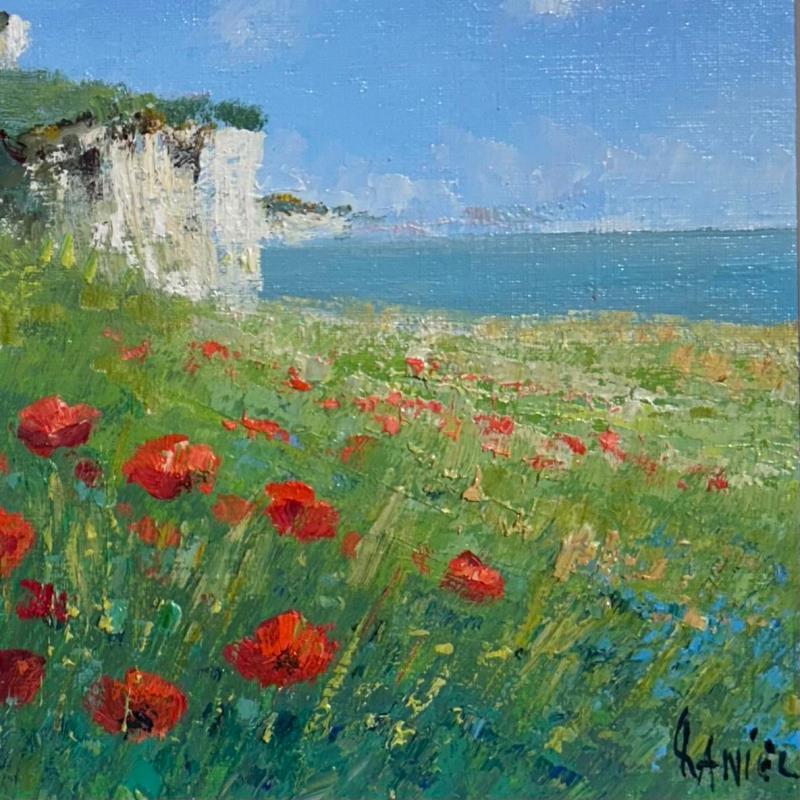 Gemälde Coquelicots sur les falaises au Tréport von Daniel | Gemälde Impressionismus Landschaften Öl