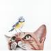 Gemälde BIRD AND CAT 8 von Milie Lairie | Gemälde Realismus Natur Tiere Öl