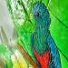 Painting QUETZAL DU PANAMA by Geiry | Painting Subject matter Landscapes Nature Animals Wood Acrylic Pigments Marble powder