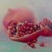Painting Grenades by Jung François | Painting Figurative Still-life Oil