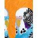 Peinture Perruches ondulées  par Castillon Camille | Tableau Art naïf Nature Animaux Minimaliste Acrylique