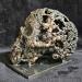 Sculpture Vanité 92-23 by Buil Philippe | Sculpture Figurative Still-life Metal Bronze