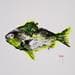 Painting Piranha by Dias | Painting Figurative Mixed Animals