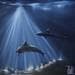 Gemälde Dolphins can swim von Guillet Jerome | Gemälde Figurativ Tiere Acryl