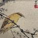 Gemälde Bird  von Yu Huan Huan | Gemälde Figurativ Tiere Tinte