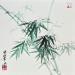 Gemälde Bamboo von Yu Huan Huan | Gemälde Figurativ Stillleben Tinte