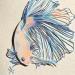 Gemälde Combattant 10 von Atalanta Vanessa | Gemälde Marine Natur Tiere Pappe Papier