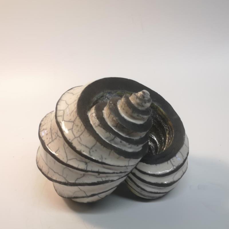 Sculpture Ammonite by Roche Clarisse | Sculpture