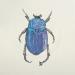 Peinture Insecte #3 par Atalanta Vanessa | Tableau Nature Animaux Carton Papier