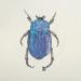 Painting Insecte #3 by Atalanta Vanessa | Painting Nature Animals Cardboard Paper