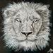 Painting King by Geiry | Painting Subject matter Nature Animals Acrylic Pigments Marble powder
