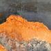 Gemälde Flamboyantes von Gaussen Sylvie | Gemälde Abstrakt Landschaften Öl