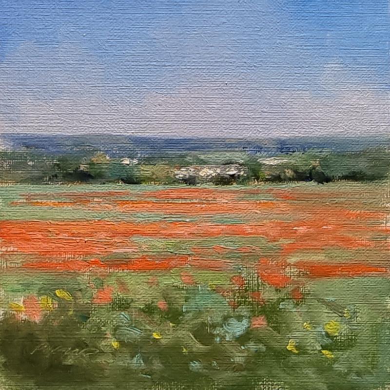 Painting Coquelicots dans le Luberon by Giroud Pascal | Painting Figurative Landscapes Nature Oil