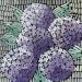 Gemälde purple hydrangeas von Dmitrieva Daria | Gemälde Impressionismus Natur Acryl