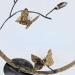 Sculpture Papillons 3 by Eres Nicolas | Sculpture Figurative Animals Metal
