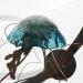 Sculpture Méduse Bleue Aquamarine by Eres Nicolas | Sculpture Figurative Animals Metal