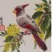 Painting Cardinal pyrrhuloxia by Tayun | Painting Figurative Animals Ink