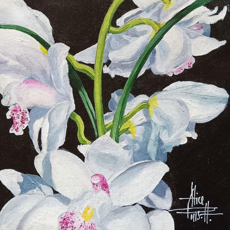 Painting Orchidee-bianco su nero by Parisotto Alice | Painting Figurative Oil