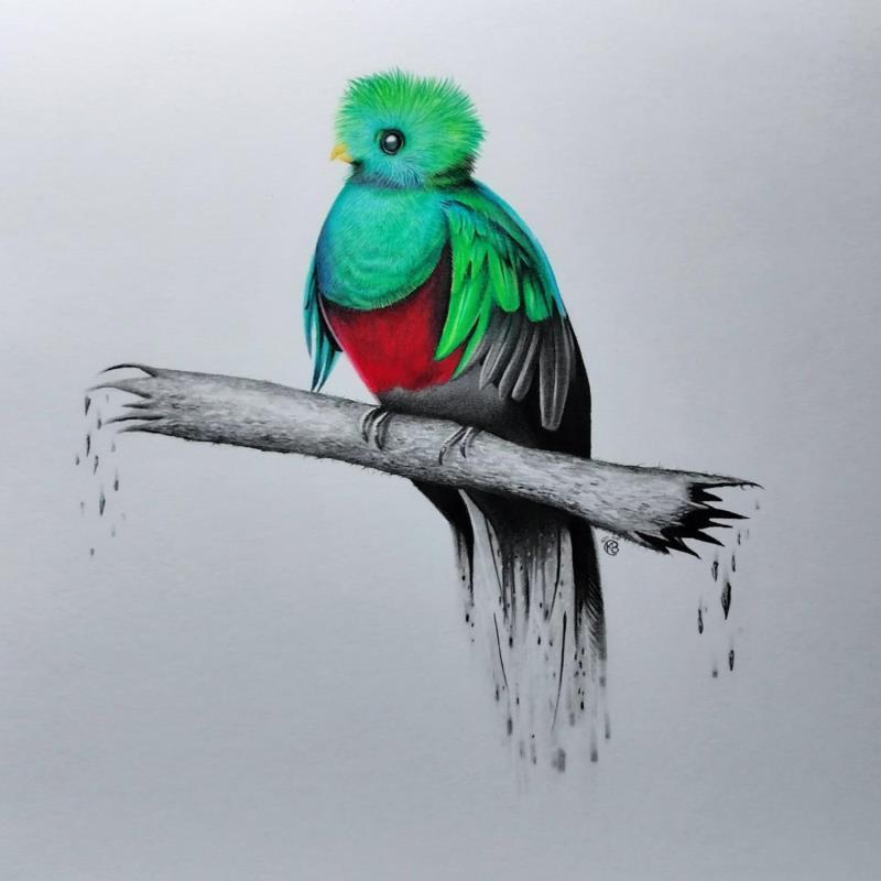 Gemälde Quetzal resplendissant von Benchebra Karim | Gemälde Figurativ Zeichenkohle Gesellschaft, Natur, Tiere