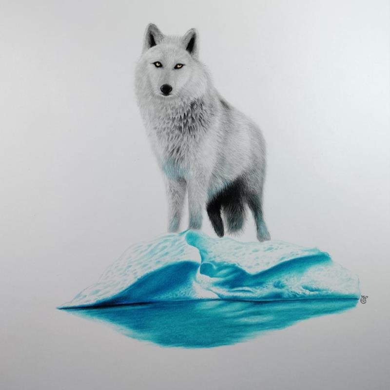 Peinture Loup polaire par Benchebra Karim | Tableau Figuratif Fusain Animaux, Nature, Société