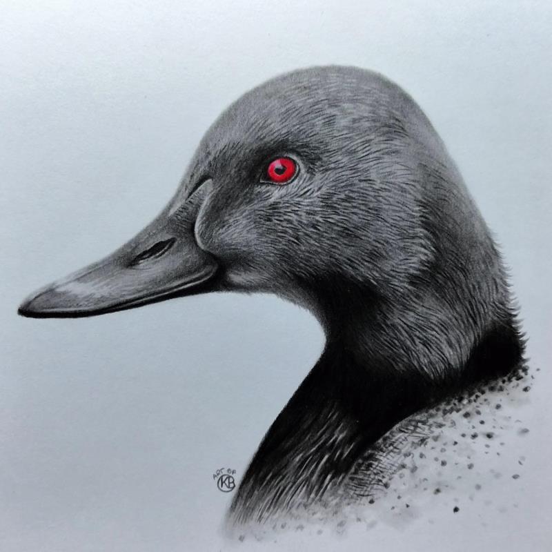 Painting Fuligule milouin by K'Arts | Painting Figurative Society Nature Animals Charcoal